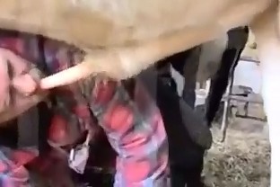 Распущенный гомосек сношается с быком увлекательное зоопорно порнушка посмотреть на сайте