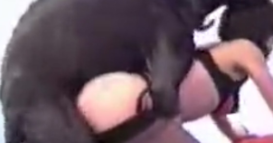 Большой кобель натягивает на хуй худую зооёбку порно видео домашнее