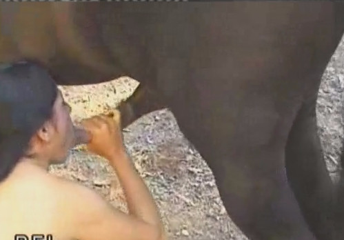 Horse zoo porn коняка всадил мулатке по самые гланды